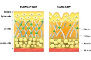 Collagen quality is the principal difference between young and old skin, using lip care with SPF will help your lips stay youthful for longer
